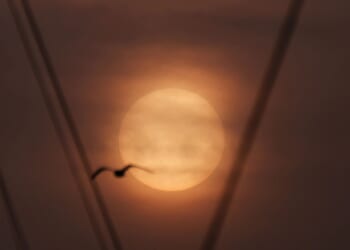 Millions warned of 'invisible killer' and told to 'stay indoors this weekend' as Saharan dust cloud blankets UK