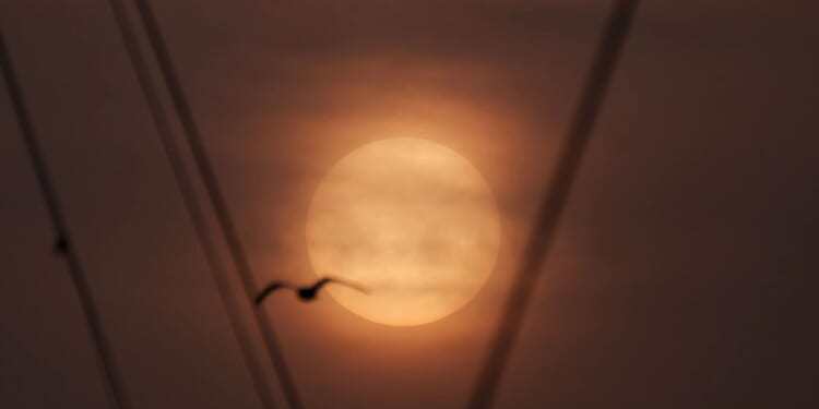 Millions warned of 'invisible killer' and told to 'stay indoors this weekend' as Saharan dust cloud blankets UK