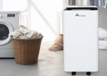 ‘Must buy’ dehumidifier for mould and damp issues slashed to £64.99 with £235 saving