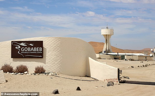 The pair had spent more than a week at the remote Gobabeb Research Station in the Namib-Naukluft National Park, along with fellow British researcher John Lowe