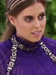 Suspected Chinese spy who was on charity trip with Beatrice is arrested