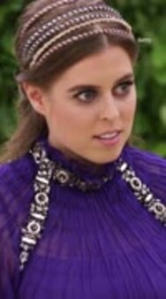 Suspected Chinese spy who was on charity trip with Beatrice is arrested