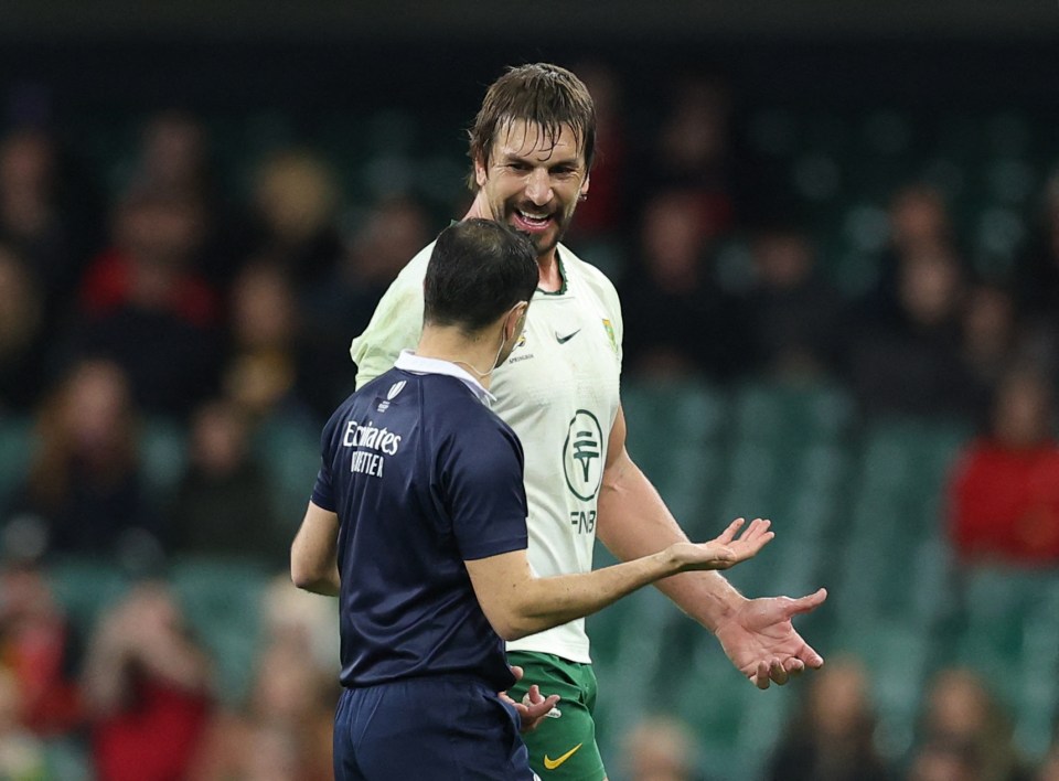 Autumn Internationals - Wales v South Africa