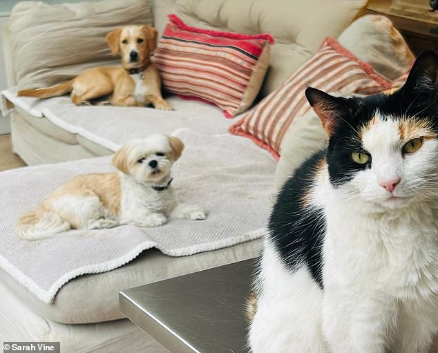 Florence and Muffin with one of Sarah's cats, called Cersei. 'The problem is not dogs, it¿s people. Perhaps we should just ban them instead'