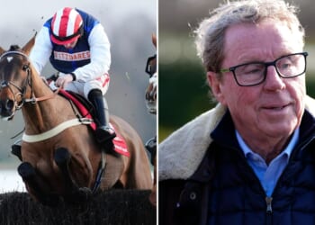 'I've been playing the Gold Cup over in my dreams,' says Harry Redknapp as The Jukebox Man gears up for Cheltenham
