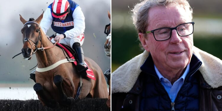 'I've been playing the Gold Cup over in my dreams,' says Harry Redknapp as The Jukebox Man gears up for Cheltenham