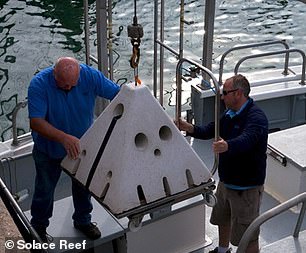 Solace Reef is a UK-based company that sets ashes inside stones that form part of an artificial reef