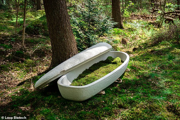 The world's first 'living coffin' is made out of mushrooms and is designed to biodegrade within 45 days, 'becoming one' with nature