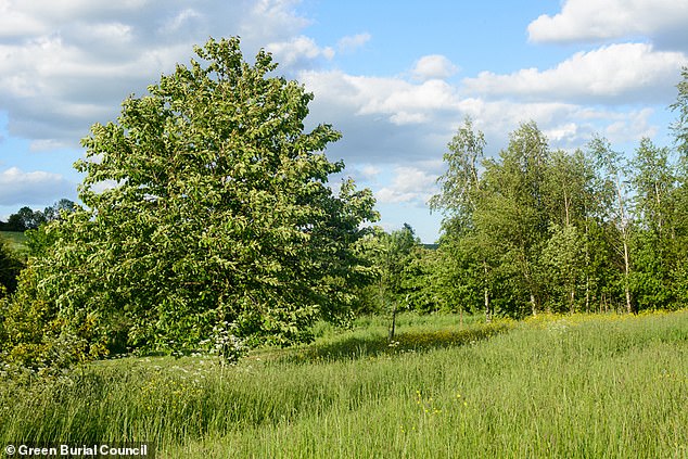 There are now over 400 locations offering natural burials, ranging from reserved areas of normal cemeteries to vast natural parks such as Scraptoft Natural Burial Ground (pictured)
