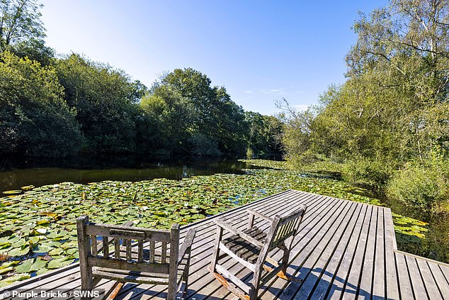 There is a three acre trout pond with a fishing pontoon overlooking the lily pad covered water
