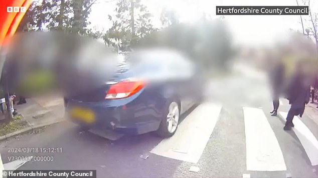 Bodycam footage from Hertfordshire County Council showed drivers narrowly missing a lollipop lady and pedestrians on a zebra crossing