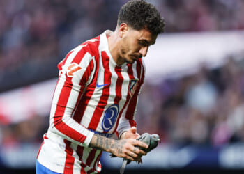 Top-flight game stopped as PIGEON is injured by wayward ball before being rescued and carried off pitch by superstar