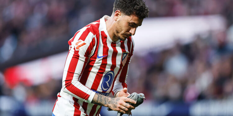 Top-flight game stopped as PIGEON is injured by wayward ball before being rescued and carried off pitch by superstar