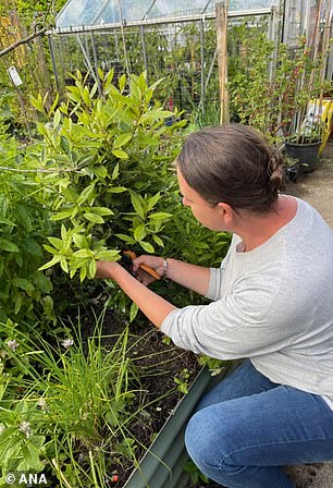 Citing negative stereotypes of 'grumpy middle-aged men surrounded by cans of food or in a bunker', Ana (pictured) insisted: 'I'm not prepping for an apocalypse or zombie invasion'