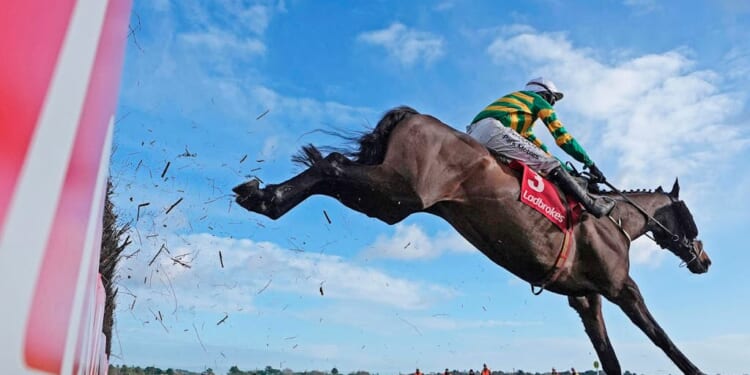 Going for Broke | Stephen Pollard