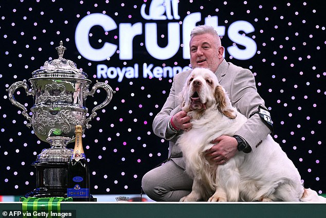 Clumber spaniel Bruin with his handler Lee Cox pictured with the Crufts trophy