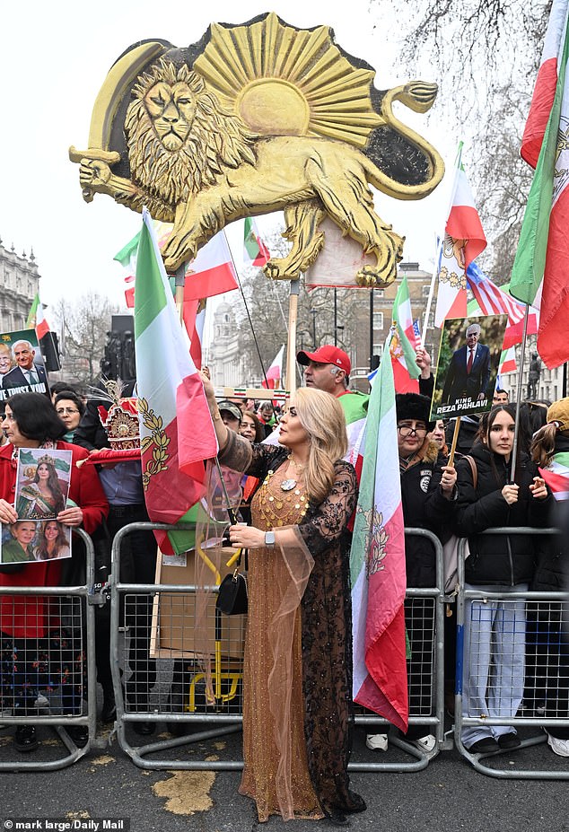 One protestor brought a huge sign of a golden lion - the animal which features on the Iranian flag