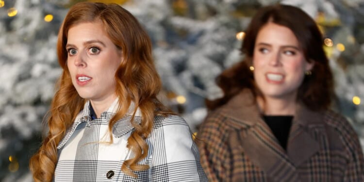 Princesses Beatrice and Eugenie dragged further into Andrew scandal over £100k secret payments from billionaire