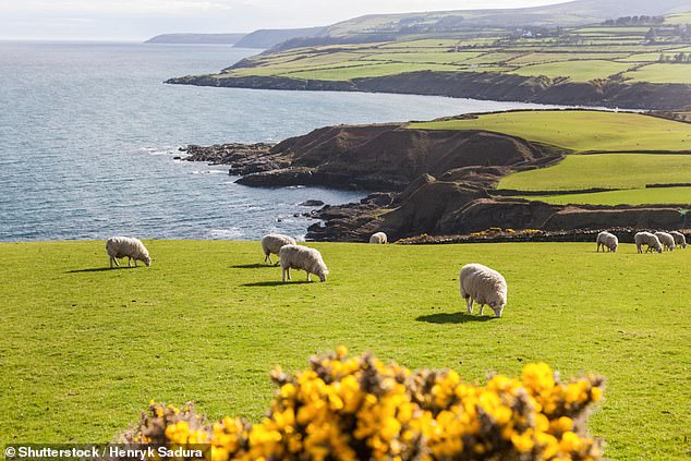 Boasting a tiny population of just 85,000, the Isle of Man feels exceptionally spacious, with long stretches of coastline, quiet glens and barely-trodden beaches