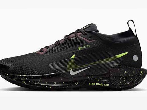 Nike Pegasus Trail 5 GORE-TEX