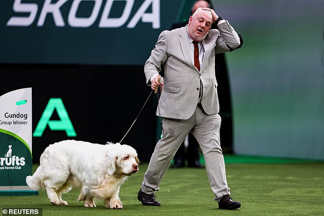 Cox was however not banned from keeping dogs and claims to have produced 48 UK champions and more than 250 award winners worldwide