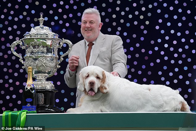 It was found that the dog handler and his business partner Roger Stone kept a spaniel with a chronically infected ear that was bleeding, ulcerated and oozing pus in 2001