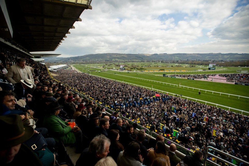 A panoramic shot of the Cheltenham Racecourse, with spectators filling the stands on the left, and the racetrack extending into the distance under a cloudy sky.