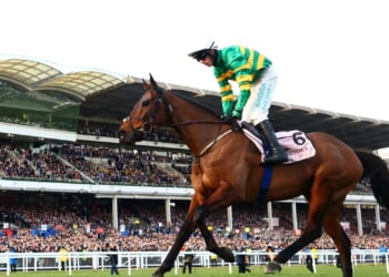 Punters at Cheltenham Festival can watch The Sun come out as we sponsor £84,000 4.40pm Handicap Chase