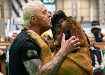 WWE legend opens up on 114kg dog Beast's $250-a-month diet with a very unusual treat that gets him in trouble