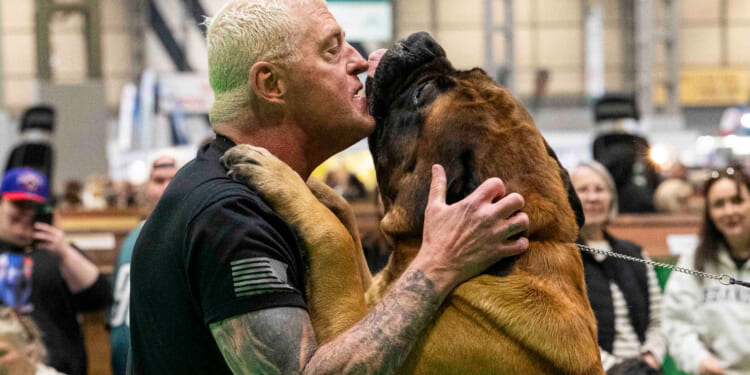 WWE legend opens up on 114kg dog Beast's $250-a-month diet with a very unusual treat that gets him in trouble