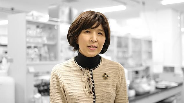 Emi Nishimura, a professor of ageing and regeneration, says grey hair and melanomas are caused by the same stress response in the cells that give colour to hair