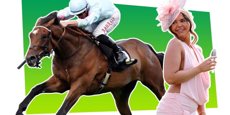 Discount deals to Cheltenham, the Grand National and Royal Ascot with £20 off voucher code
