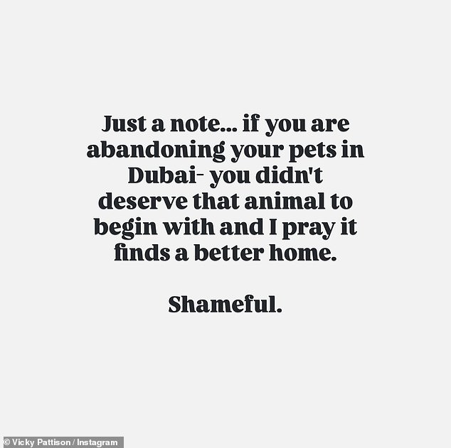 In response, the TV personality, 38, took to her Instagram Stories to say those leaving their animals behind never deserved them