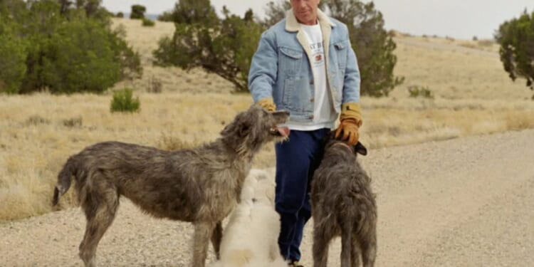 Epstein investigators finally launch new search of paedo’s shady ranch with ‘buried bodies’ & secret incinerator