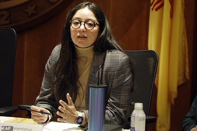New Mexico state Representative Andrea Romero is one of several lawmakers now calling for a sweeping investigation into what really happened at Zorro Ranch, following a recent influx of tips