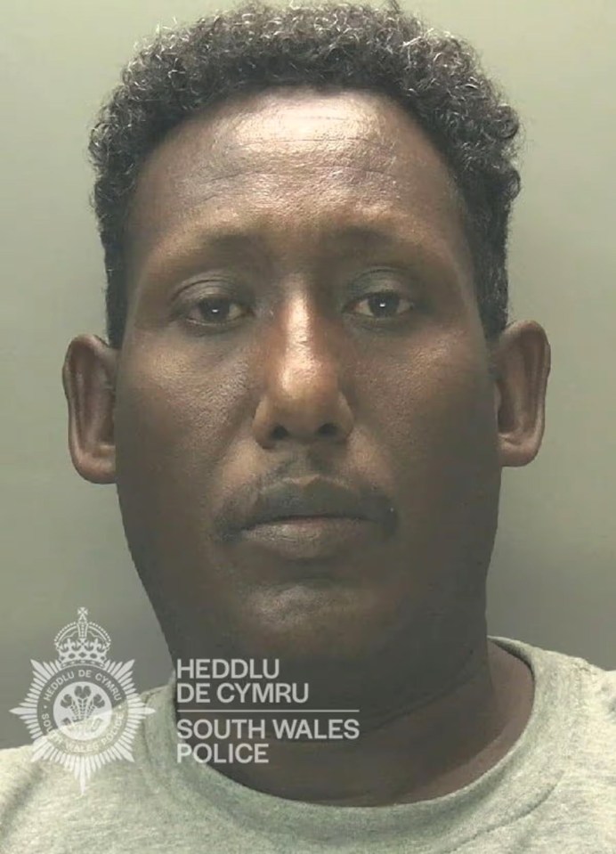 NINTCHDBPICT001065517927