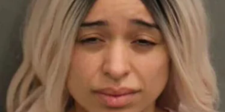 Woman, 35, charged with attempted murder and assault after 'shooting at Rihanna’s LA mansion'