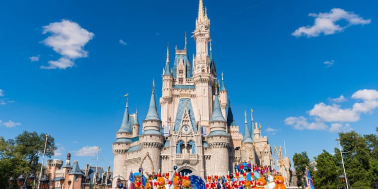 Five Disneyland workers rushed to hospital during 'hazmat situation' at theme park