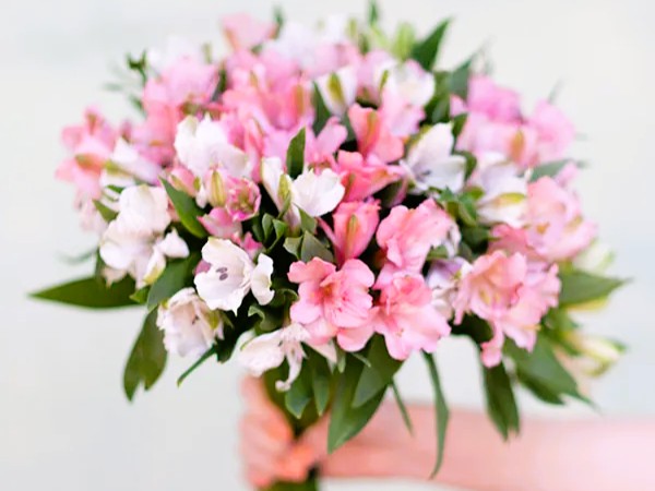 A hand holding a bouquet of pink and white alstroemeria flowers.