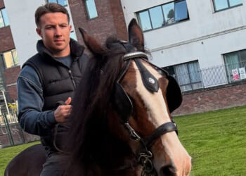 Irish boxing star Pierce O'Leary reveals riding his horse and carriage is his escape... with pet Patsy a local celeb