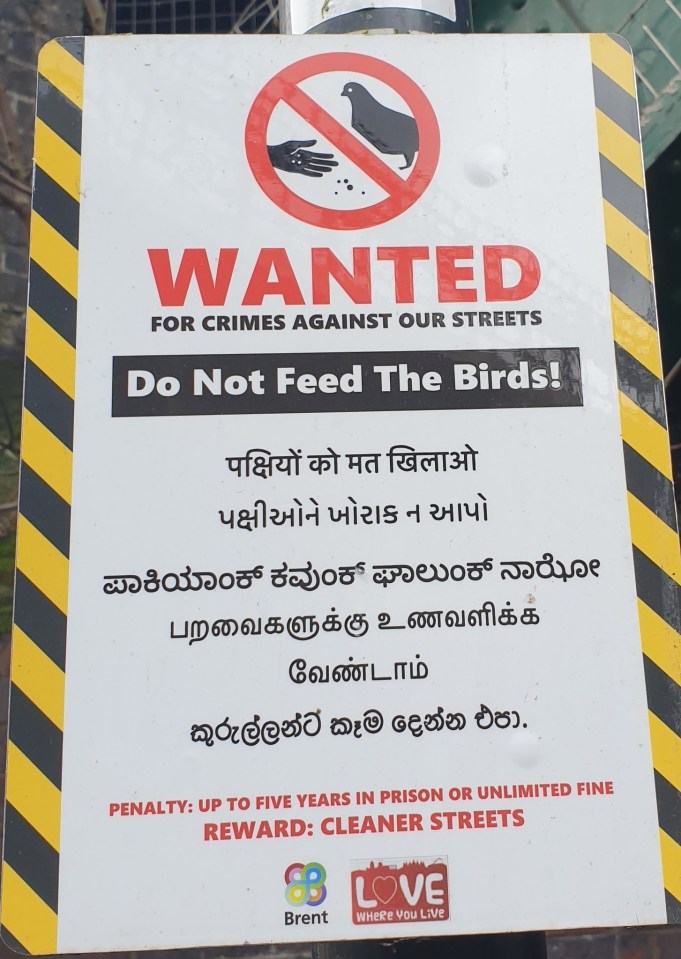 A sign from the Brent Council in London warning people not to feed birds, written in English and five South Asian languages, stating a penalty of up to five years in prison or an unlimited fine.