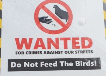 Fury as council put up sign threatening anyone feeding birds with FIVE YEARS in prison
