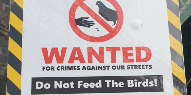 Fury as council put up sign threatening anyone feeding birds with FIVE YEARS in prison