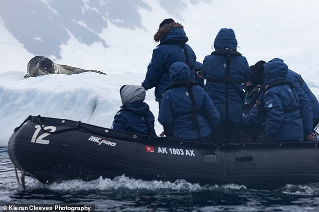 The Zodiac boats allow guests to get up close to the local wildlife, while maintaining strict rules about distance