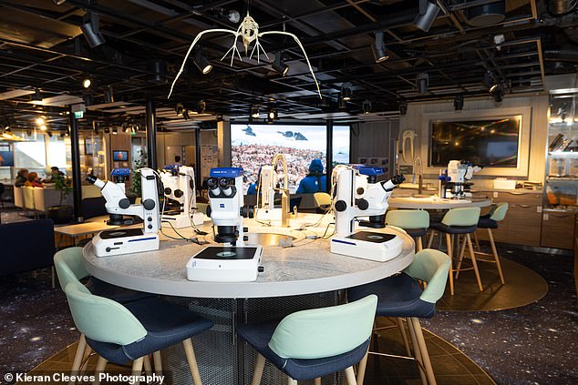 The ship boasts a dedicated science centre filled with curiosities including killer whale skulls, sperm whale teeth, walrus tusks and rock samples