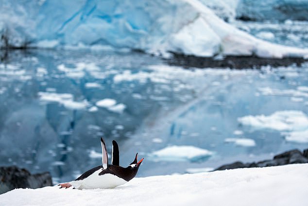 Nowhere else in the world can leave you feeling completely and utterly moved – as if it has truly changed you as a person