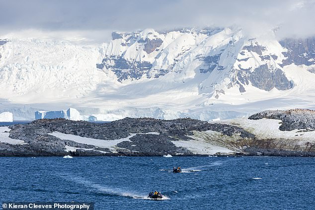 Expedition leader Marie told me the reason she comes back 'again and again and again' is the sheer amount of ice here