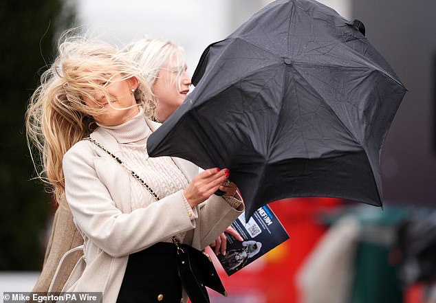 One nil to the umbrella... it appeared the brolly was winning in this battle with a racegoer