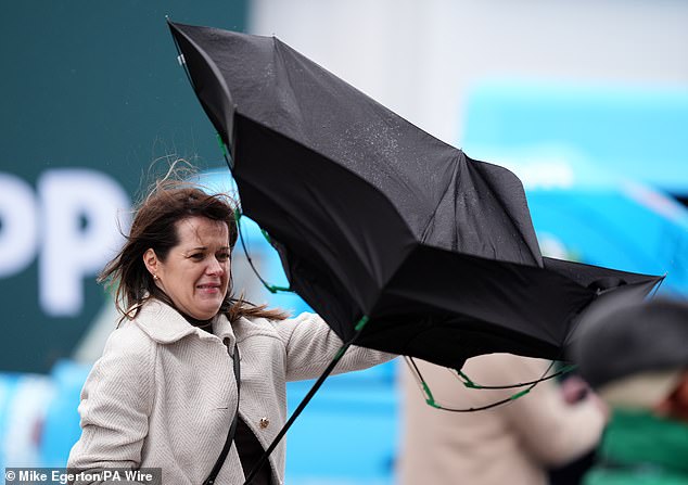 A racegoer fights to control her umbrella during the windy conditions at Cheltenham Festival