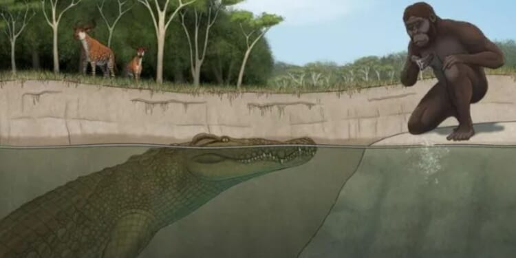 Giant blood-thirsty MEGA-CROC that hunted early human ancestors 3million years ago uncovered